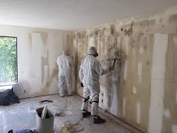 Biohazard Mold Removal in Lincoln Park, CO